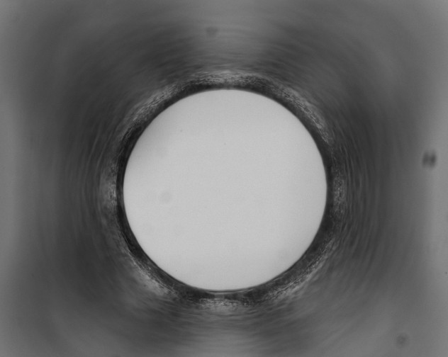 X0000099970633200806201403