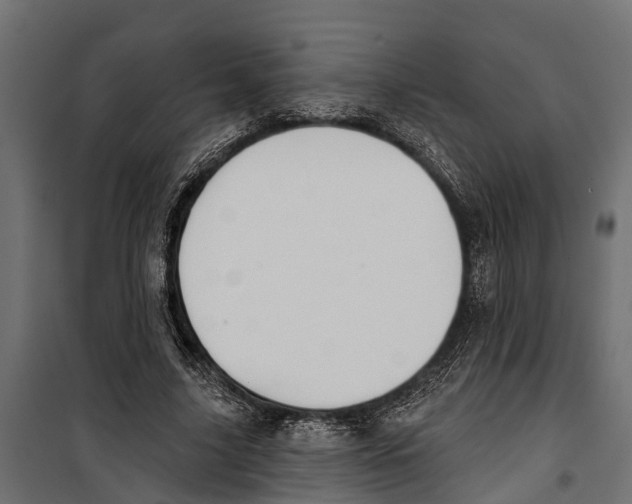 X0000099970635200806201403