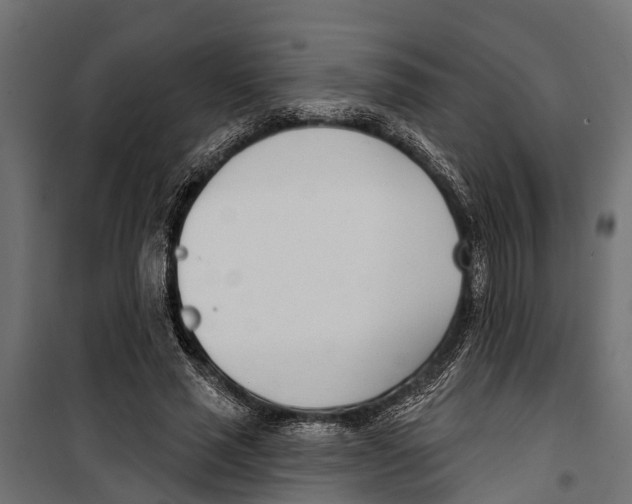 X0000099970637200806201403