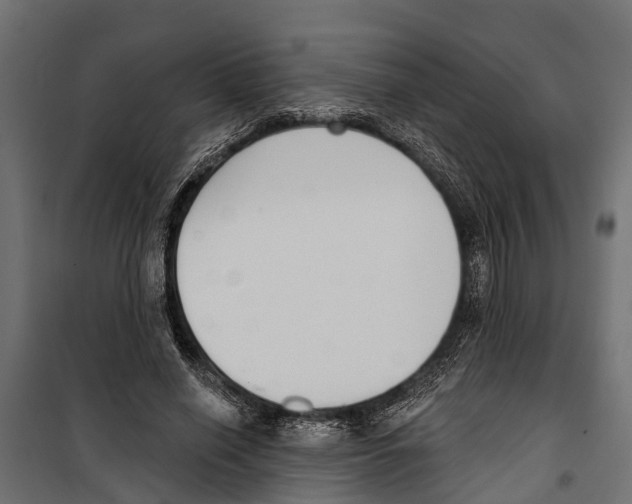 X0000099970638200806201403