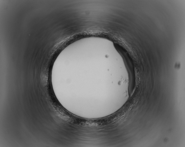 X0000099970640200806201403