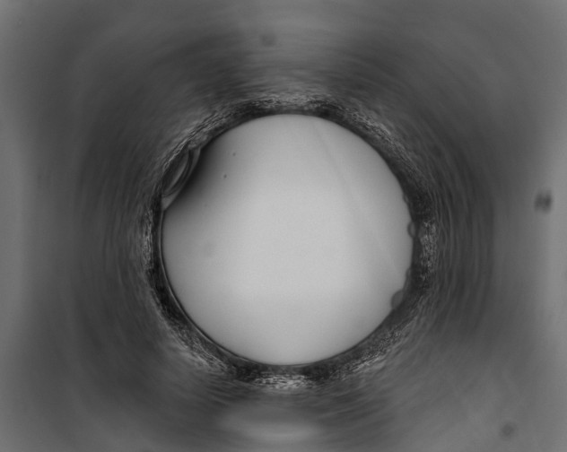 X0000099970642200806201403