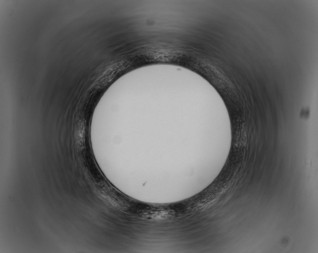 X0000099970646200806201403