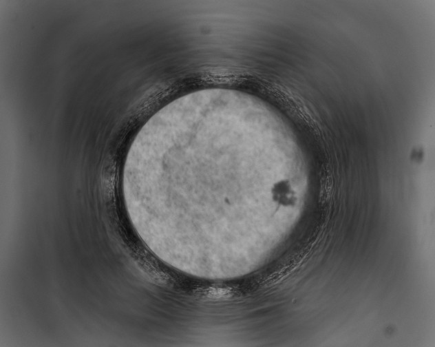 X0000099970647200806201403