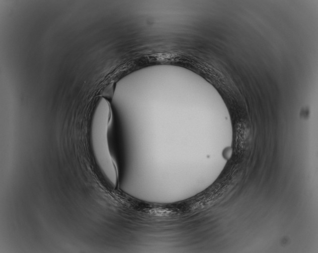 X0000099970650200806201403