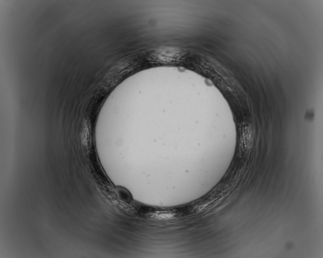 X0000099970651200806201403