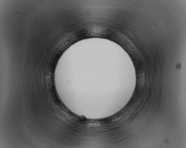 X0000099970653200806201403