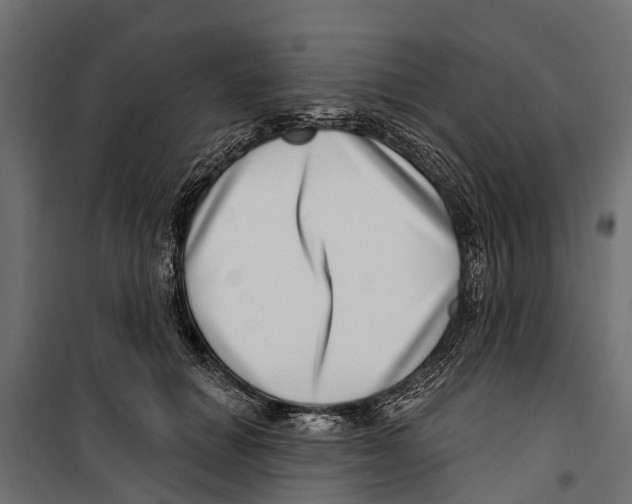 X0000099970654200806201403