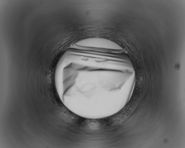 X0000099970658200806201403