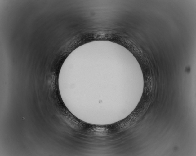 X0000099970659200806201403