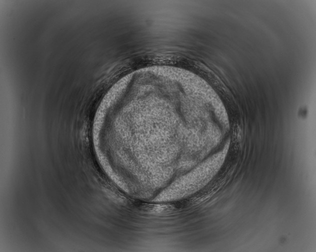 X0000099970663200806201403