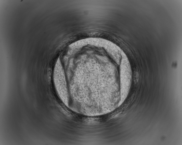 X0000099970664200806201403