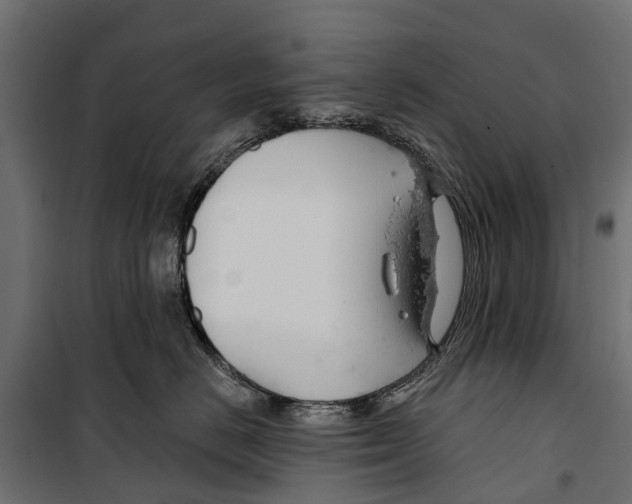 X0000099970670200806201403