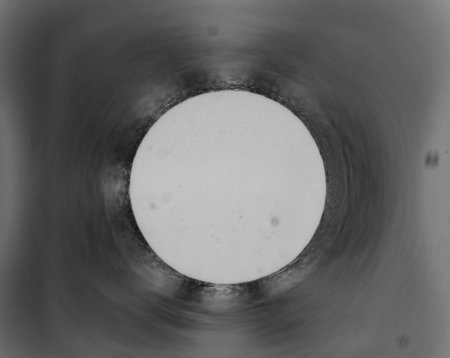 X0000099970672200806201403