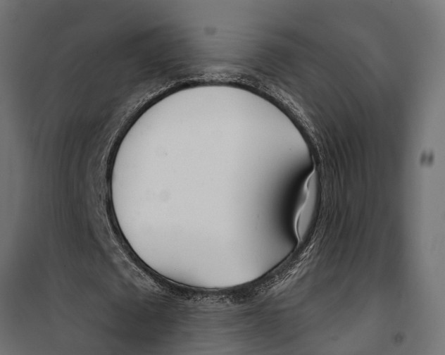 X0000099970673200806201402