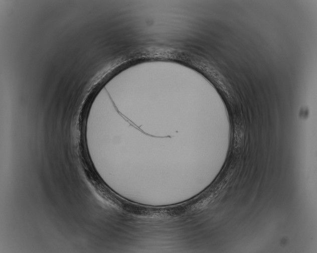 X0000099970674200806201402