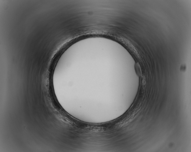 X0000099970676200806201402