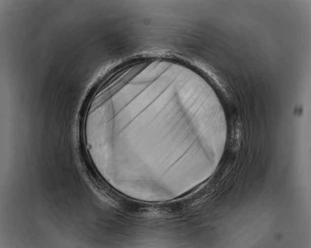 X0000099970678200806201402