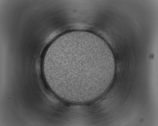 X0000099970679200806201402