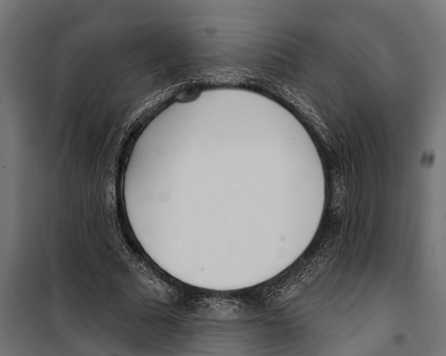 X0000099970681200806201402