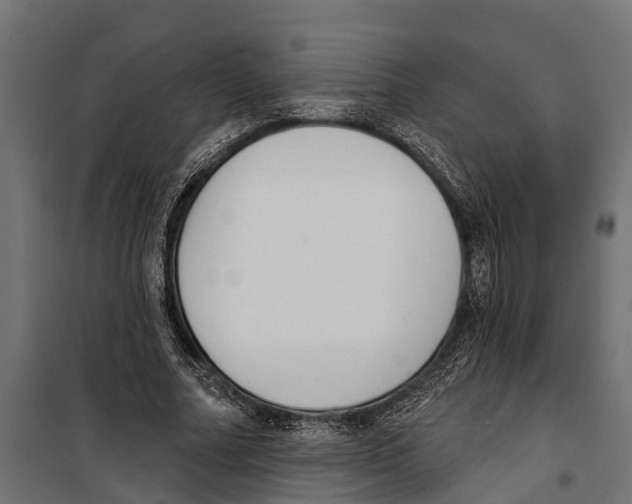 X0000099970682200806201402