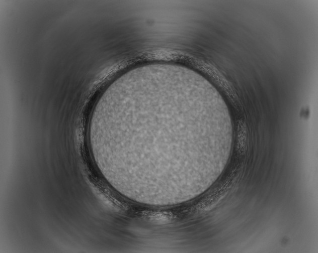 X0000099970683200806201402