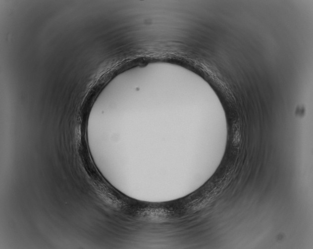 X0000099970685200806201402