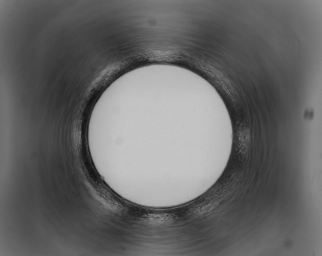 X0000099970686200806201402