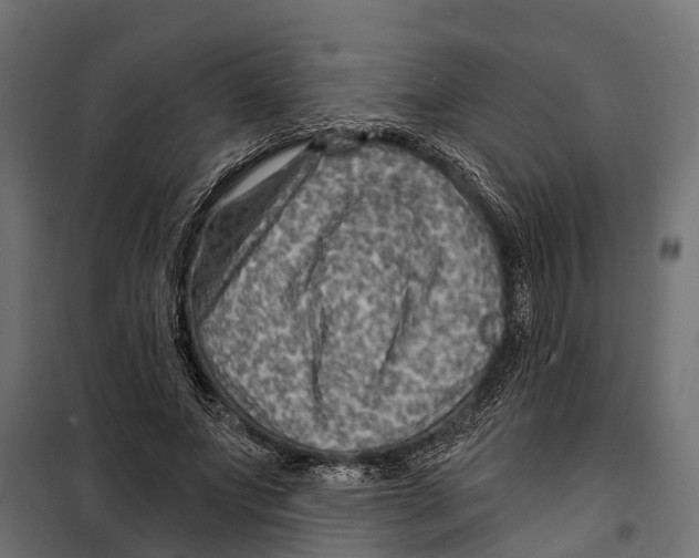 X0000099970687200806201402