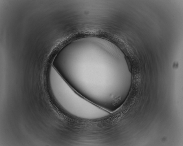 X0000099970688200806201402