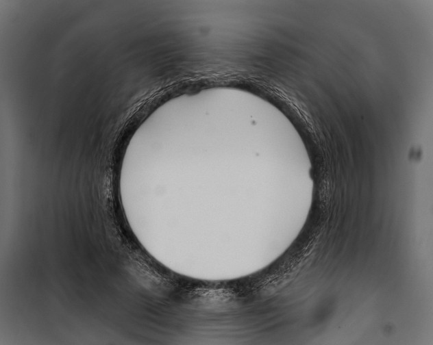 X0000099970689200806201402