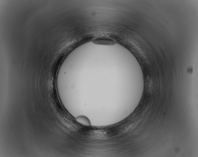 X0000099970692200806201402