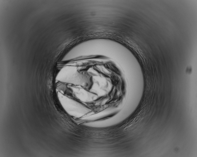 X0000099970693200806201402