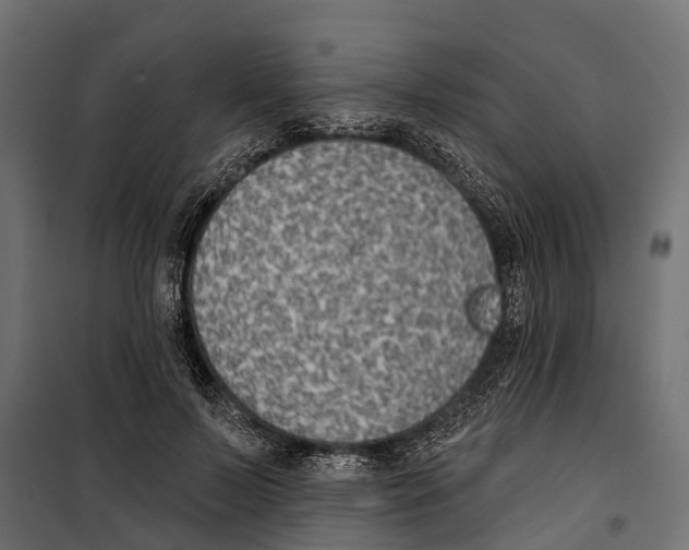 X0000099970695200806201402