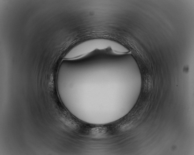 X0000099970700200806201402