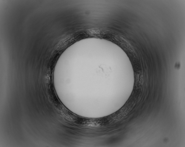 X0000099970702200806201402