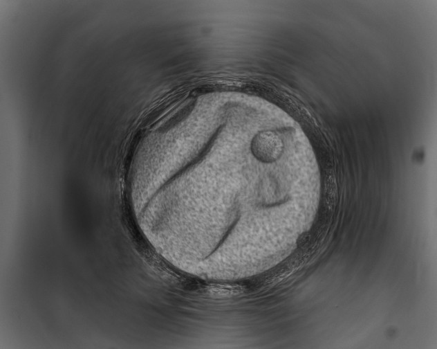 X0000099970707200806201402