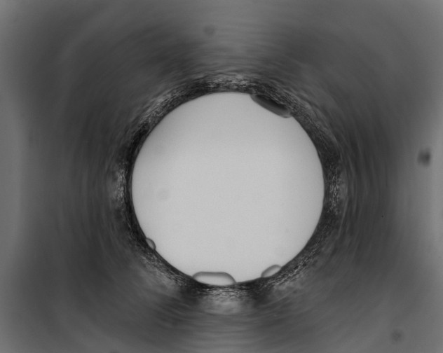 X0000099970708200806201402