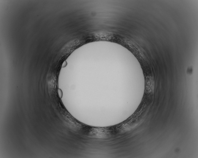 X0000099970713200806201402