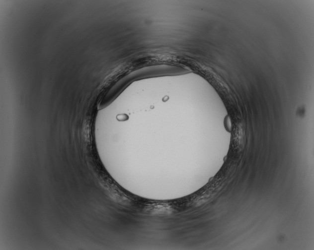 X0000099970715200806201402