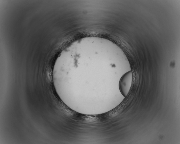 X0000099970718200806201402