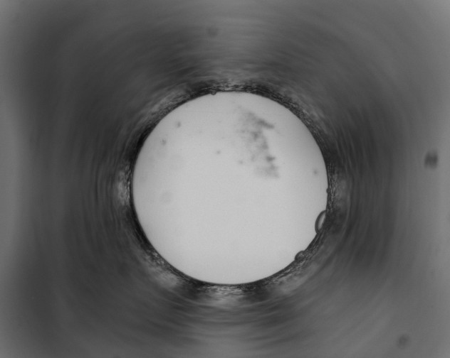 X0000099970719200806201402