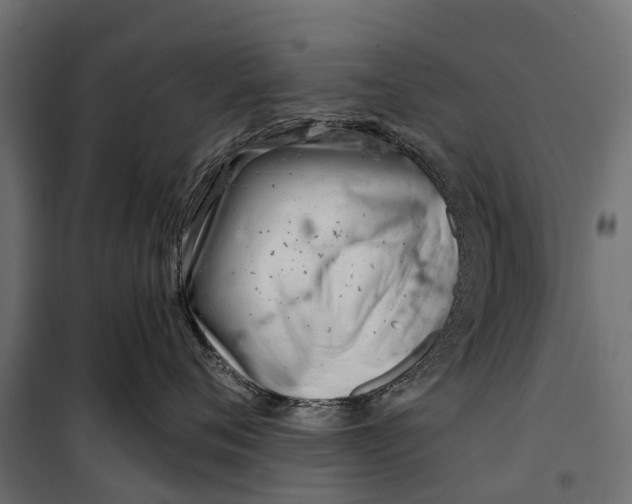 X0000099970720200806201402