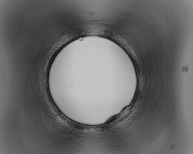 X0000099970721200806201401