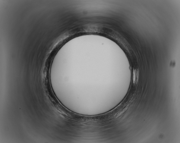 X0000099970723200806201401