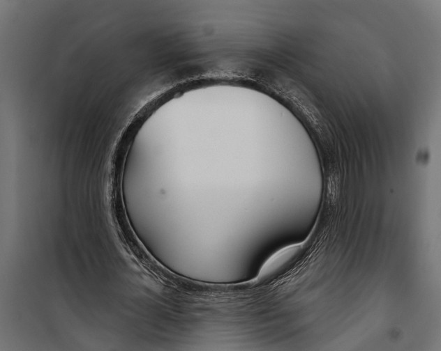 X0000099970724200806201401