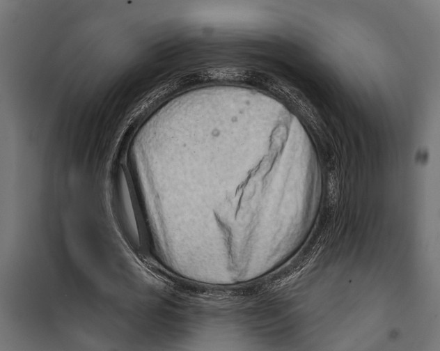 X0000099970725200806201401