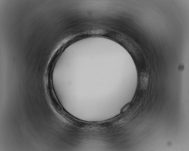 X0000099970726200806201401