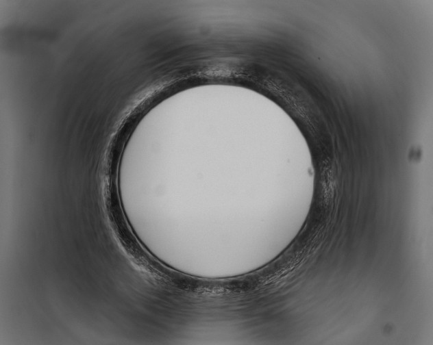 X0000099970728200806201401