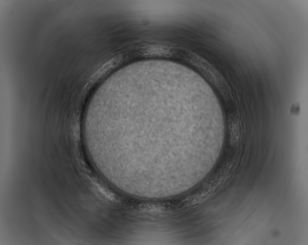 X0000099970729200806201401